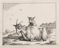 KG 04325
<br/>
Geit, naar links
<br/>
<em>Bije, Marcus de (1639-ca. 1690)</em>